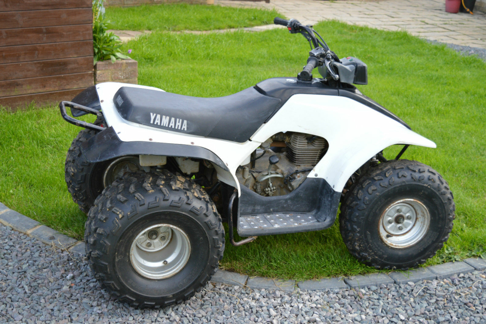 Yamaha Breeze