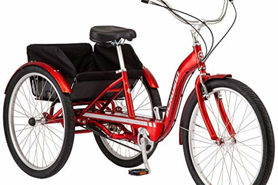 Schwinn Meridian