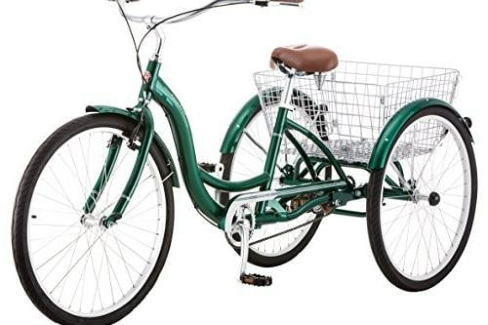 Schwinn Meridian