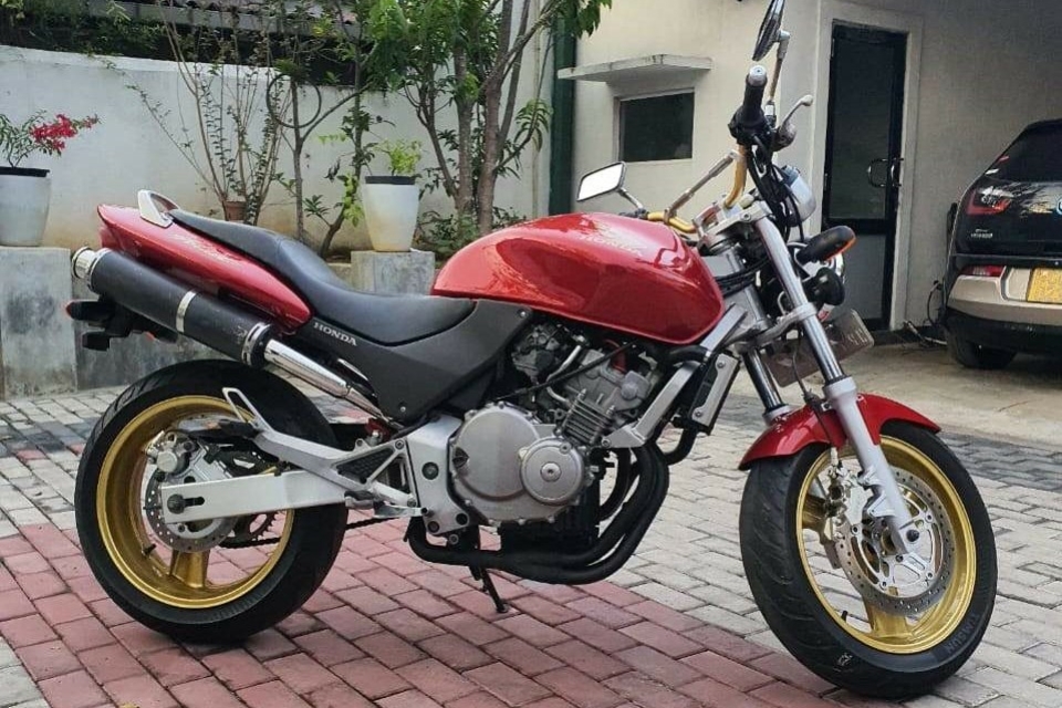 Honda Hornet